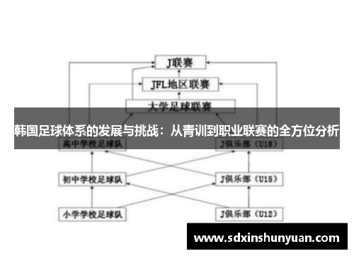 韩国足球体系的发展与挑战：从青训到职业联赛的全方位分析